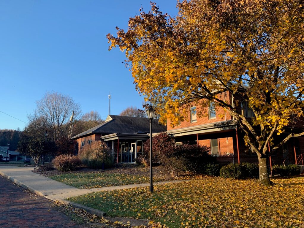 photo of brick 317 board building with lush orange, fall foliage on a tree to the right of the building