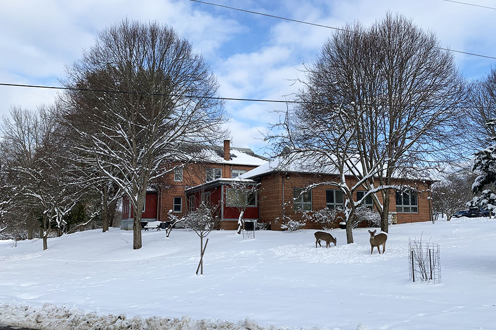 Photo of brick Board office building with a blanket of snow and three deer grazing in the lawn.
